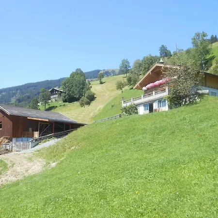 Sunlit Apartment Near Ski Area In Hollersbach Im Pinzgau Apartment *