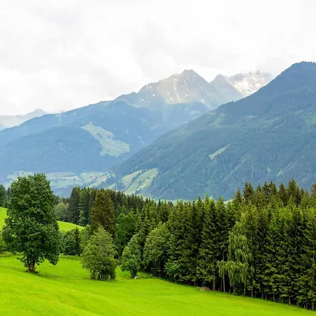 Sunlit Near Area In Διαμέρισμα Hollersbach im Pinzgau