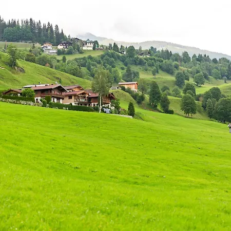 Sunlit Near Area In Hollersbach im Pinzgau