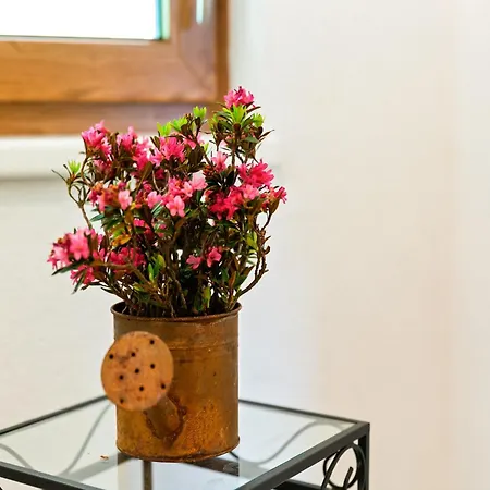 Sunlit Near Area In * Hollersbach im Pinzgau