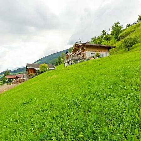 Sunlit Near Area In * Hollersbach im Pinzgau