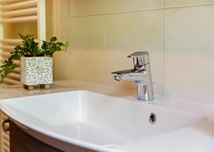 Sunlit Near Area In 公寓 *