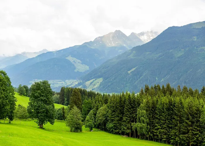 Sunlit Near Area In Appartamento Hollersbach im Pinzgau