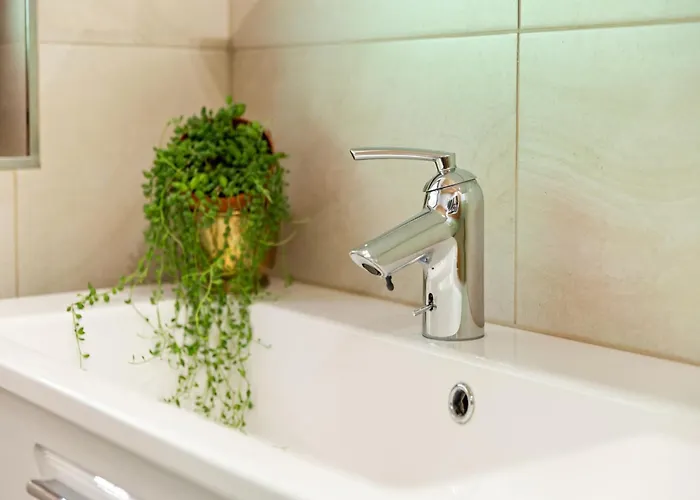 Sunlit Near Area In * 胡勒斯巴赫平